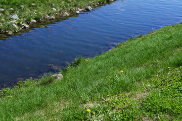 Creek- green meadow
