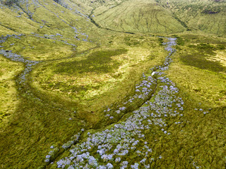Aerial view of streams and hydrangeas near the Caldeira Branca on the island of Flores, Azores.