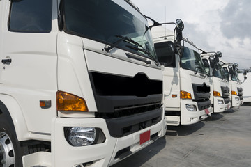 New truck fleet is parking. - obrazy, fototapety, plakaty