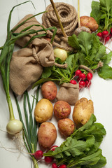 Radish and potatoes on a white background
