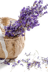 Fototapeta premium Lavender flowers bunch
