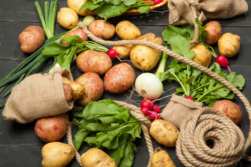 Radishes, potatoes and onions on a black background