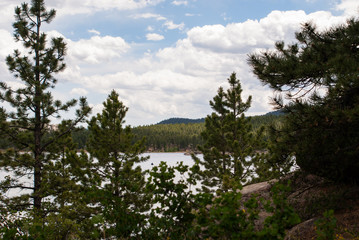 Lake through the trees