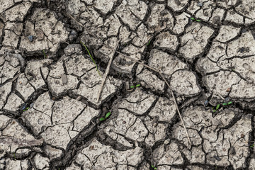 Trockener Boden