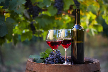 Zwei Gläser Rotwein und Flasche im Weinberg