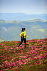 Shot of a young woman looking at the landscape while hiking in the mountains. Majestic flowers glowing by sunlight. Magic pink rhododendron flowers on summer mountain