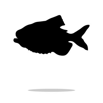 recommend clip art: Piranha fish black silhouette aquatic animal