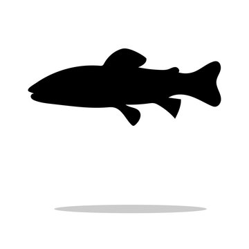 Salmon trout fish black silhouette aquatic animal