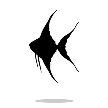 recommend clip art: Scalare fish black silhouette aquatic animal