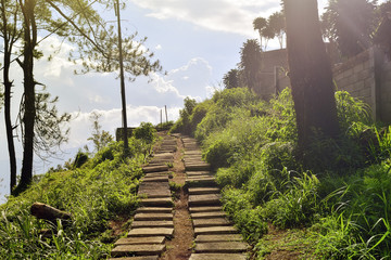 footpath to the mountain