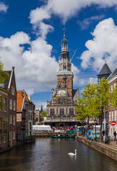 Fototapeta premium Alkmaar, Netherlands - April 28, 2017: Swan swimming at the channel