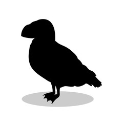 Puffin bird  black silhouette animal