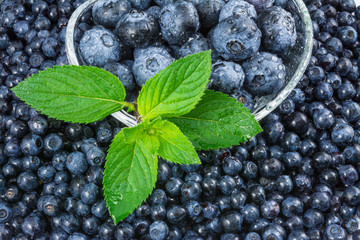 Sweet ripe blueberries texture. Wet mint leaves. Water drops. Glass bowl. Small and big washed bilberries. Decorative green peppermint. Blue berries detail. Healthy raw bio food. Alternative medicine. © KPixMining