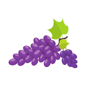 Grapes cartoon illustration