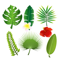 Fototapeta na wymiar Vector illustration set of exotic tropical leaves and flowers. Colorful floral collection in flat cartoon style.