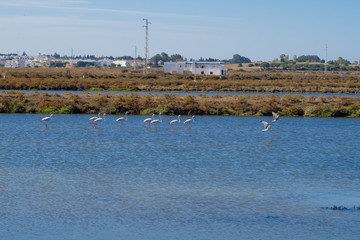 Old craft saltworks, sea water, in Chiclana de la Frontea, Cadiz, Spain