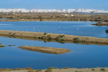 Old craft saltworks, sea water, in Chiclana de la Frontea, Cadiz, Spain