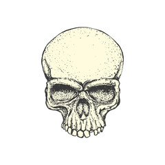 Human skull on white background. Design element for logo, label, emblem, sign. Vector illustration