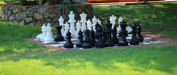 Schachspiel in der Natur