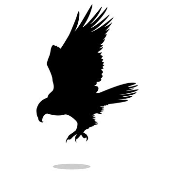 recommend clip art: Hawk eagle falcon bird black silhouette animal