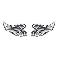 Wings isolated on white background. Design elements for logo, label, emblem, sign. Vector illustration