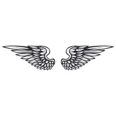 Wings isolated on white background. Design elements for logo, label, emblem, sign. Vector illustration