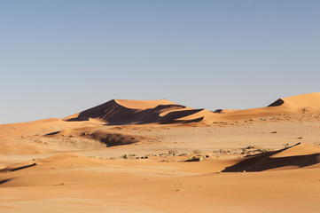 Fototapeta na wymiar Dunes in the Namib Desert / Dunes in the Namib Desert to the horizon, Namibia, Africa.