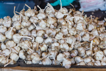 fresh garlics in a market