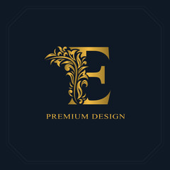 Gold Elegant letter E. Graceful style. Calligraphic beautiful logo. Vintage drawn emblem for book design, brand name, business card, Restaurant, Boutique, Hotel. Vector illustration
