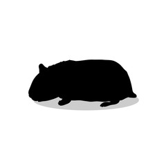 Hamster rodent black silhouette animal
