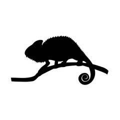 Chameleon lizard reptile black silhouette animal © KozyrevaElena