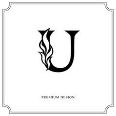 Elegant letter U. Graceful royal style. Calligraphic beautiful logo. Vintage drawn emblem for book design, brand name, business card, Restaurant, Boutique, Hotel. Vector illustration
