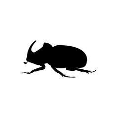 Rhinoceros beetle insect black silhouette animal