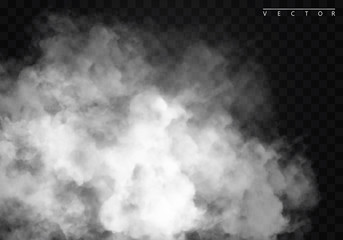 Fototapeta premium Fog or smoke isolated transparent special effect. White vector cloudiness, mist or smog background. Vector illustration