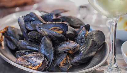Seafood mussels on pan with cream sauce. restaurant food