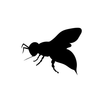Bee insect black silhouette animal