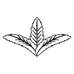 Leaves eco symbol icon vector illustration graphic design