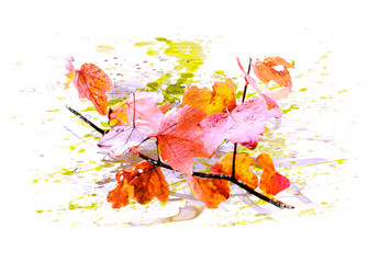 Autumn, fall leaves / twig - Art work, Watercolor, Illustration, Splash - Background isolated white - Copy, body, text space