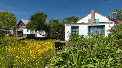 Fototapeta na wymiar Casas com jardins floridos