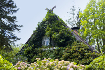 Spreewaldhaus © artfocus