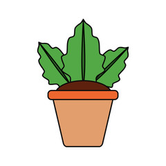 Plant in pot icon vector illustration graphic design