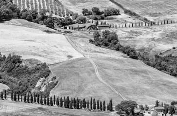 Black and white aerial view of the Tuscan countryside surrounding Montepulciano, Siena, Italy, on a sunny summer day