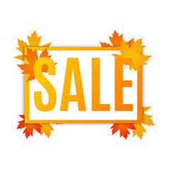 Autumn sale. Autumn sale banner with autumn maple leaves. Vector illustration