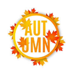 Autumn sale. Autumn sale banner with autumn maple leaves. Vector illustration