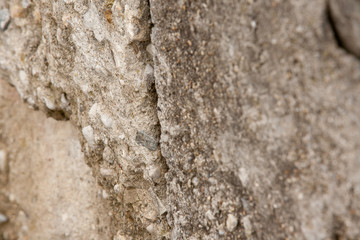 Brown and Neutral Stone Wall Background Texture