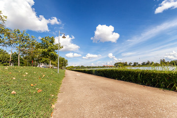 Walkway in park. Landscape with jogging track at green park