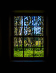 Window into Nature