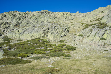 Padded brushwood (Cytisus oromediterraneus and Juniperus communis) next to the Pico del Nevero (Snowfield Peak; 2.209 metres), in Guadarrama Mountains National Park, Spain