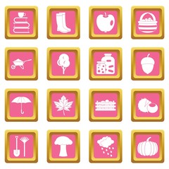 Autumn icons pink