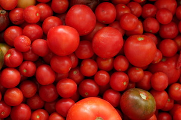 The harvested tomato harvest in the box